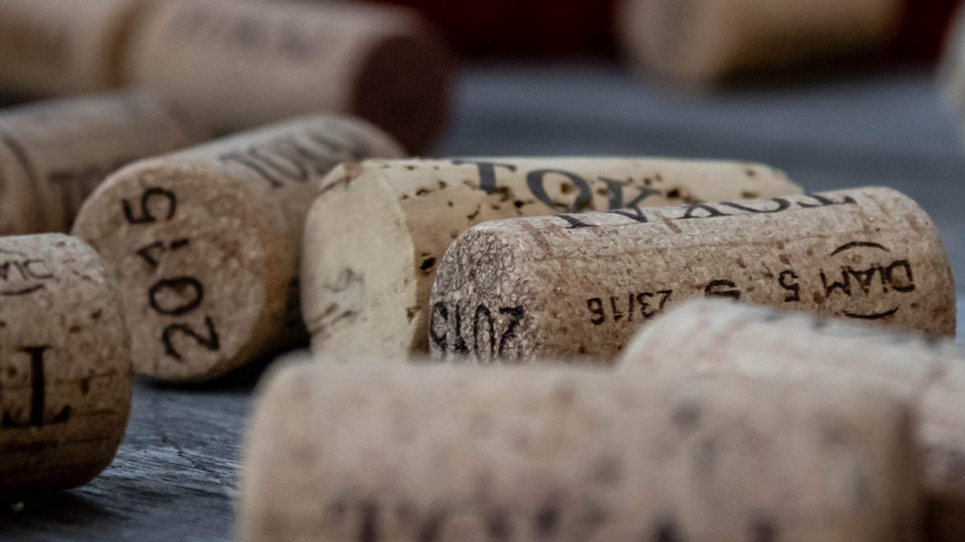 Recolha Rolhas De Cortica