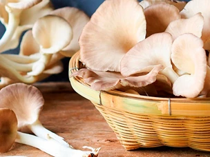 Cogumelos Pleurotus