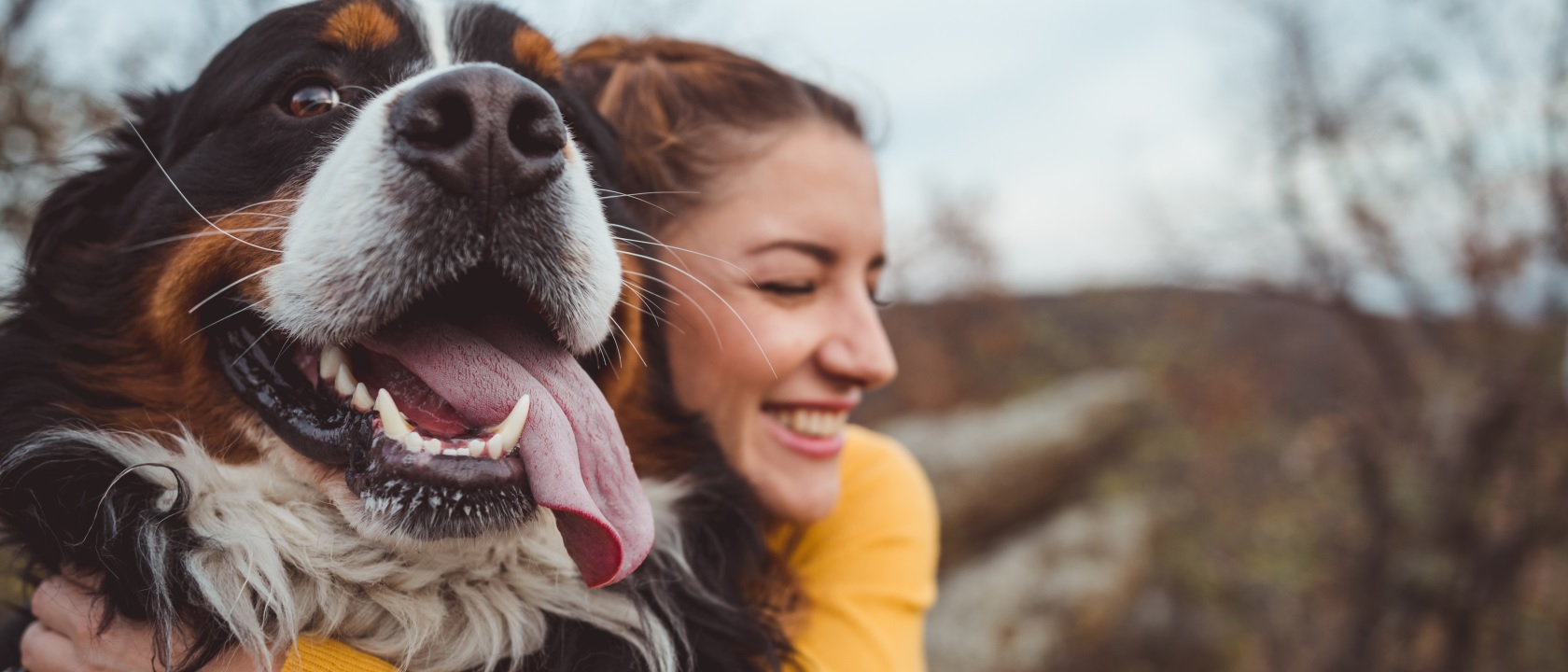 Qual o melhor animal de estimação para mim
