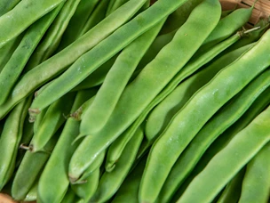 Feijão Verde