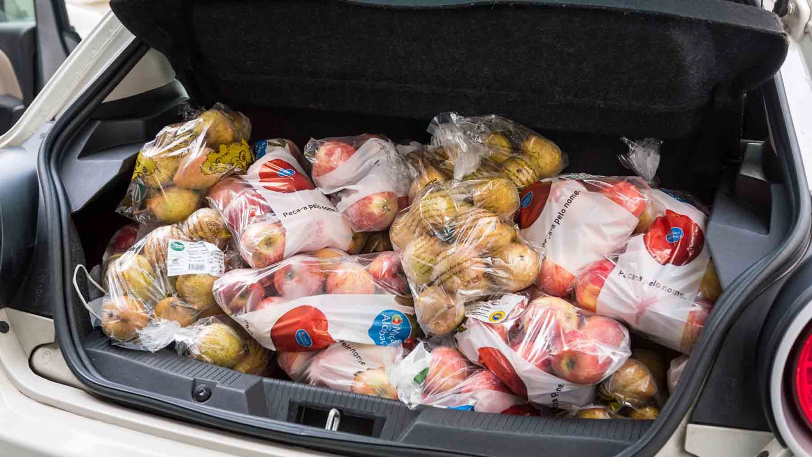 Fruta Para Doar