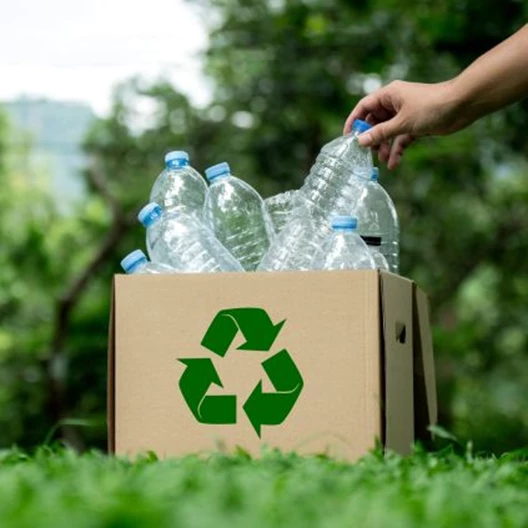 Estrategia Plastico