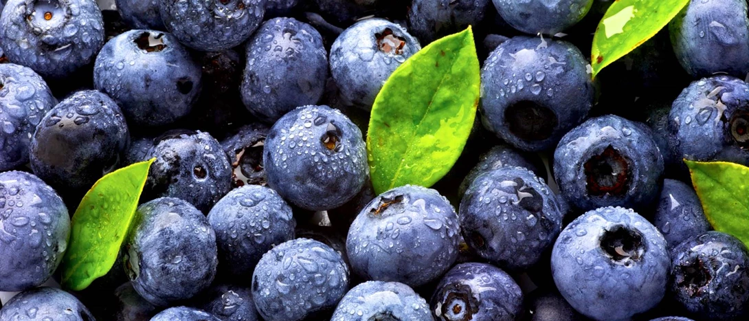 Sobremesas Com Mirtilo